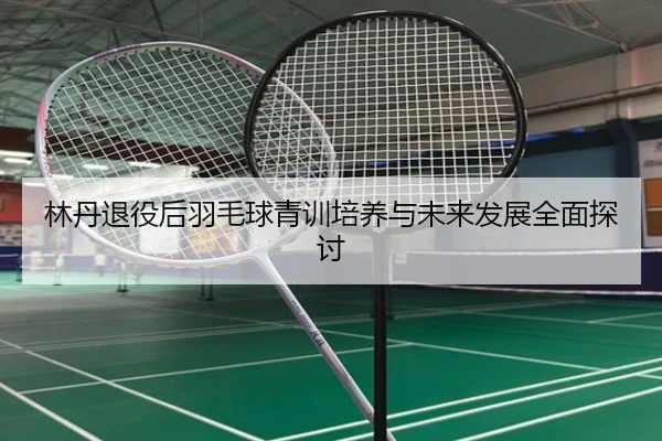 林丹退役后羽毛球青训培养与未来发展全面探讨